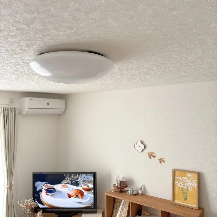 賃貸 照明カバー